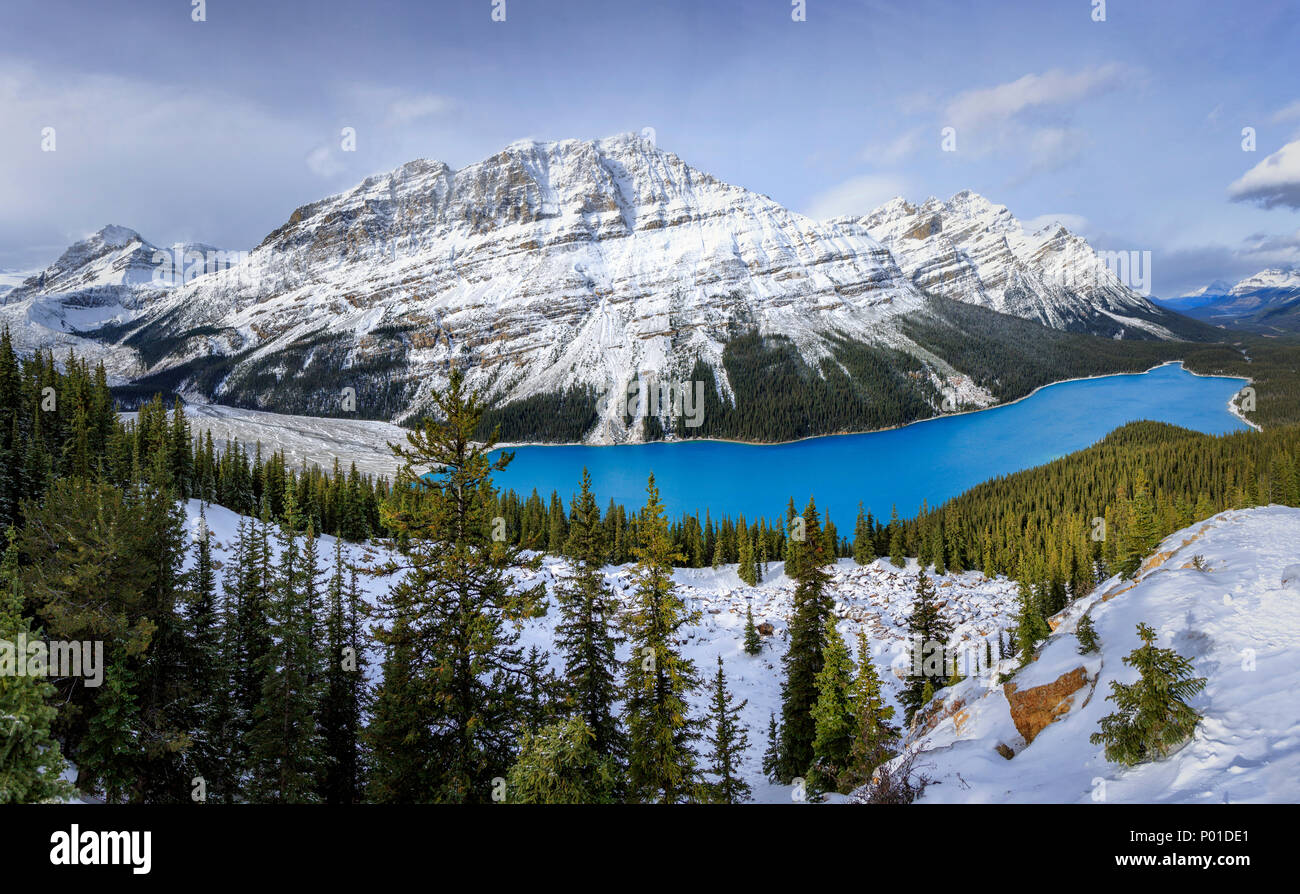 Peyto Lake, Banff National Park, Canada Stock Photo