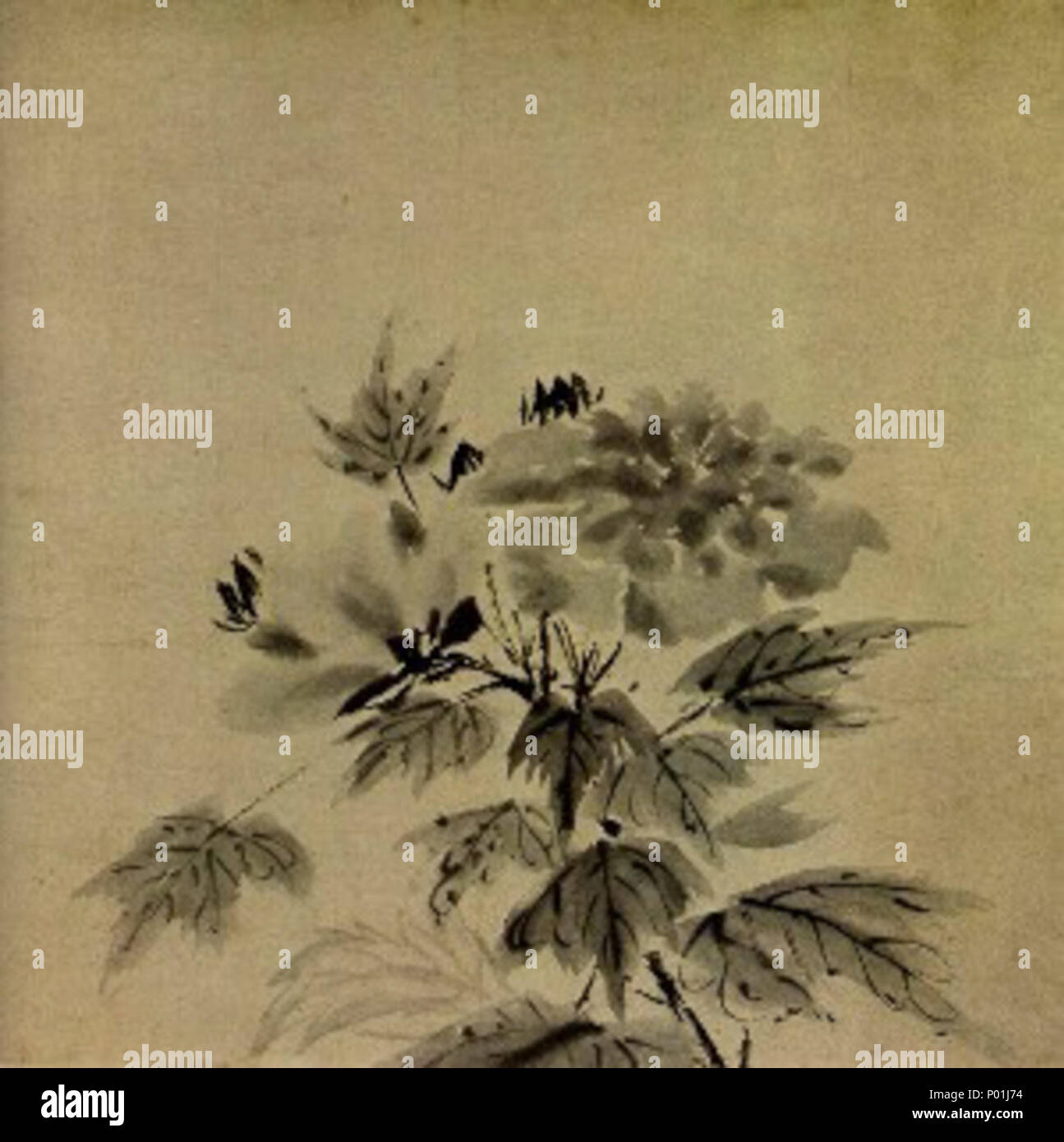 English Hibiscus Attributed To Muqi Daitokuji Kyoto Japan 日本語 紙本墨画芙蓉図 伝牧谿筆 C13 11 Hibiscus Attributed To Muqi Daitokuji Stock Photo Alamy English Hibiscus Attributed To Muqi Daitokuji Kyoto Japan 日本語 紙本墨画芙蓉図 伝牧谿筆 C13 11 Hibiscus Attributed To Muqi Daitokuji Stock Photo Alamy