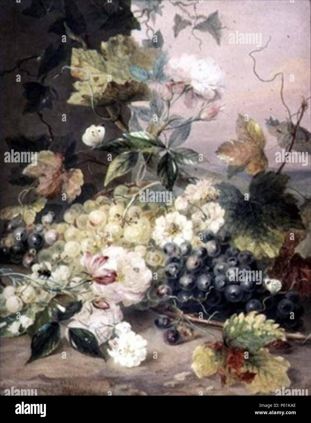 .  English: Roses and Grapes  . Roses and Grapes . 1830s 20 Roses and Grapes - Anne Frances Byrne Stock Photo