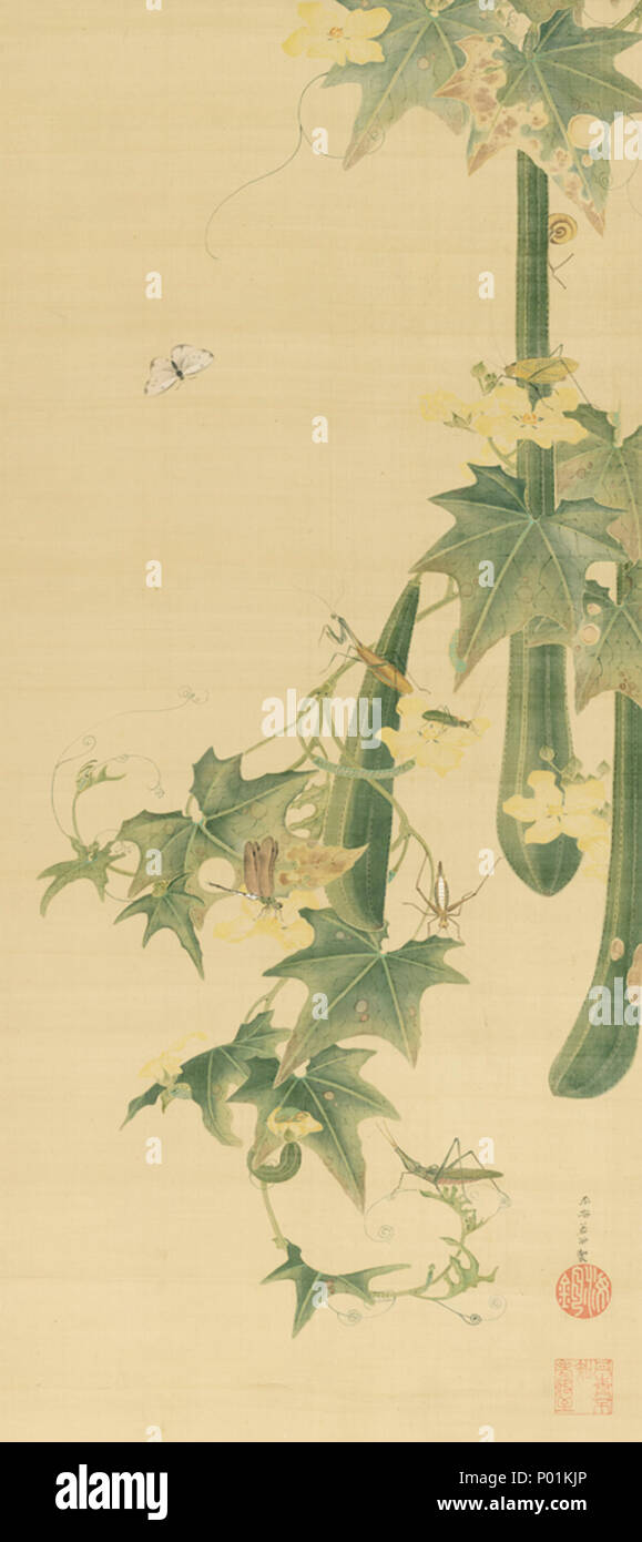 English Snake Gourds And Insects By Ito Jakuchu Hosomi Museum Kyoto Kyoto Japan 日本語 糸瓜群虫図 伊藤若冲筆 Edo Period Pre 1868 It Jakuch 1716 1800 22 Snake Gourds And Insects By Ito Jakuchu English Snake Gourds And Insects By Ito Jakuchu Hosomi Museum Kyoto Kyoto Japan 日本語 糸瓜群虫図 伊藤若冲筆 Edo Period Pre 1868 It Jakuch 1716 1800 22 Snake Gourds And Insects By Ito Jakuchu
