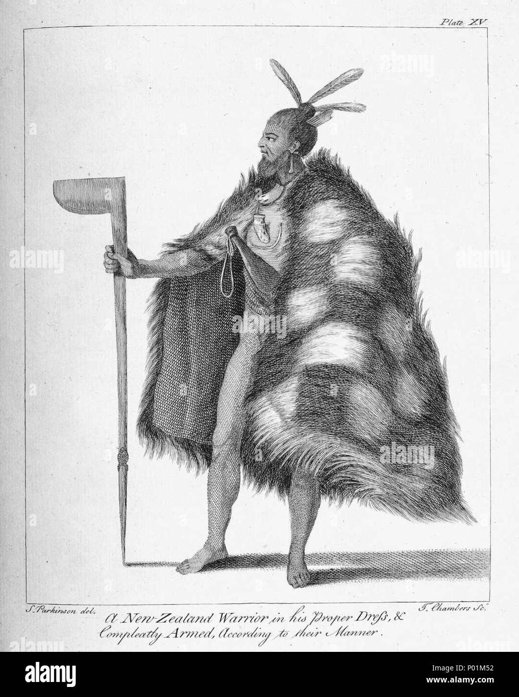 . Parkinson, Sydney, 1745-1771 :A New Zealand warrior in his proper dress & compleatly armed according to their manner. Parkinson del. T. Chambers sc. [London, 1773] Reference Number: PUBL-0179-15 A standing portrait of a Maori man, holding a tewhatewha in his outstretched left hand. He has a topknot hairstyle, and feathers in his hair, a fine dogskin cloak in a chequered pattern, a patu tucked into his belt and bone ornaments at his neck. Key terms: 1 image, categorised under Engravings and Portraits, related to Thomas Chambers, Sydney Parkinson, Men, Maori, Weapons, Maori, Maori - Clothing a Stock Photo