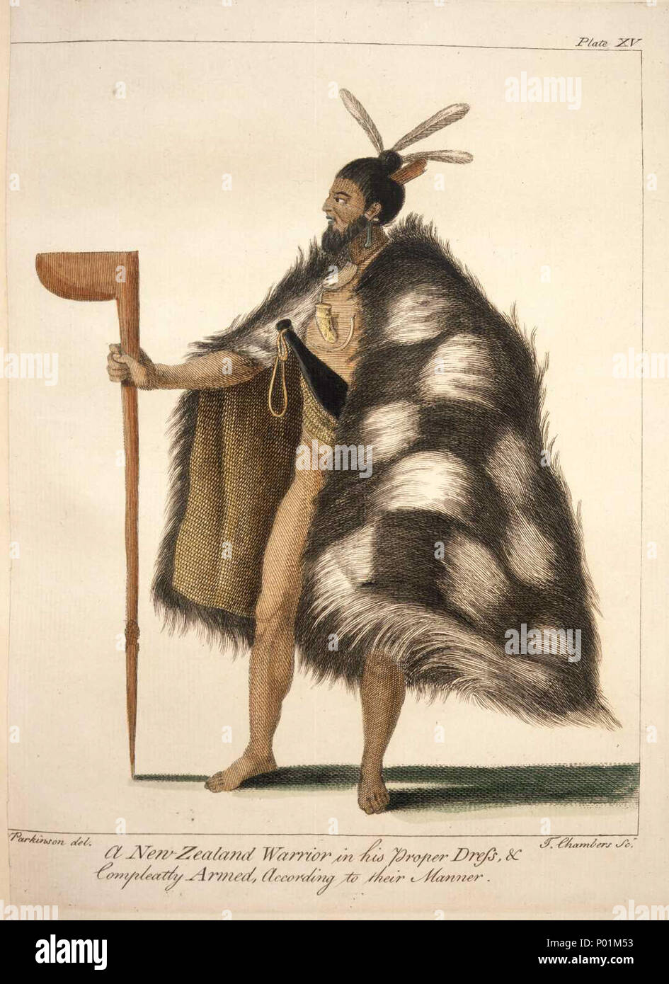 . Parkinson, Sydney, 1745-1771 :A New Zealand warrior in his proper dress & compleatly armed according to their manner. Parkinson del. T. Chambers sc. [London, 1784] Reference Number: PUBL-0037-15 A standing portrait of a Maori man, holding a tewhatewha in his outstretched left hand. He has a topknot hairstyle, and feathers in his hair, a fine dogskin cloak in a chequered pattern, a patu tucked into his belt and bone ornaments at his neck. Key terms: 1 image, categorised under Engravings and Portraits, related to Thomas Chambers, Sydney Parkinson, Men, Maori, Weapons, Maori, Maori - Clothing a Stock Photo