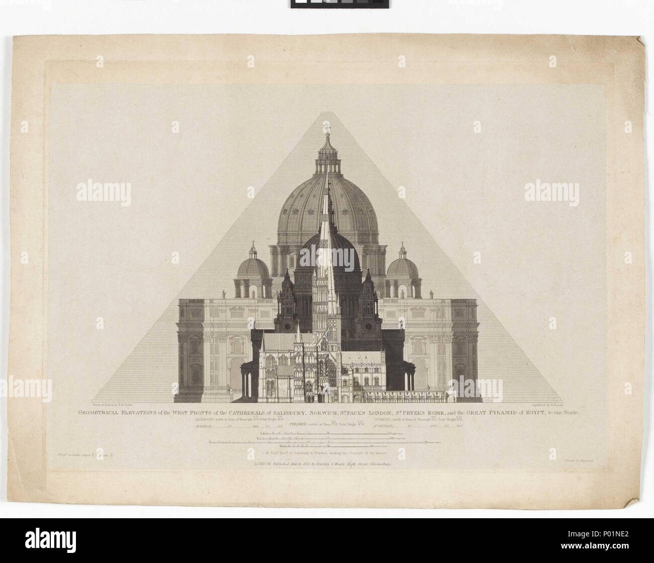 . English: 'Geometrical Elevations [...] of the Cathedrals of Salisbury ...