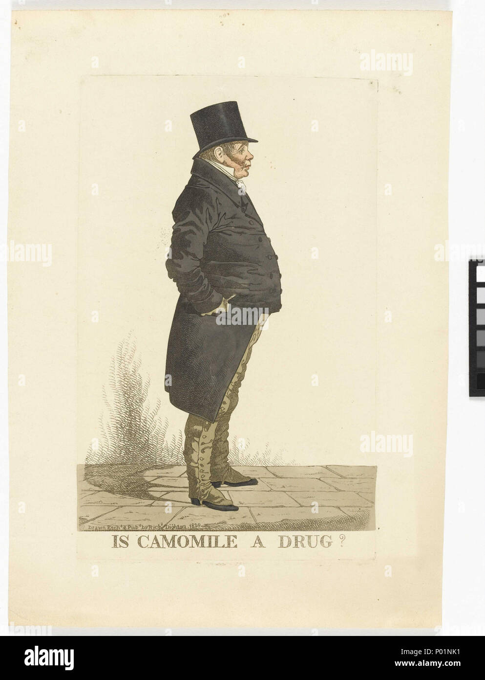 .  English: 'Is Camomile a Drug?' This caricature entitled 'Is Camomile a Drug?' shows a person identified as a Mr. Bowden standing, facing right in a top hat holding what appears to be a pencil in his clenched right fist. The title, 'Is Camomile a Drug?' refers to ... [Contact NPL see if they have any clues as they have a similar print - NPG D13371; NPG D13514; NPG D13704] Richard Dighton (1795/6-1865) was the son of Robert Dighton (1751-1814), a singer and draughtsman whose father in turn had been a printseller. Robert Dighton began producing caricatures in 1781 and continued until his death Stock Photo