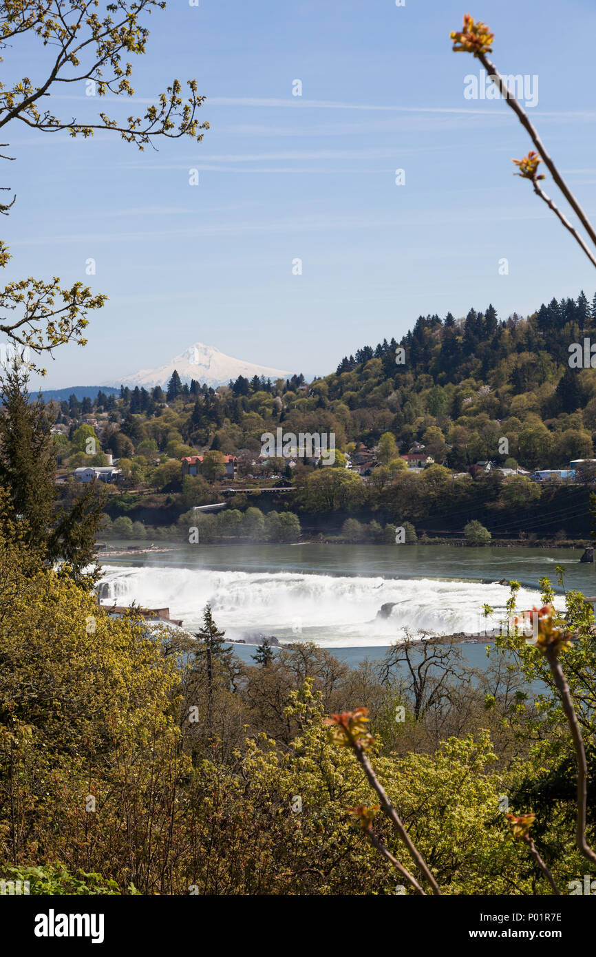 The Willamette River cascading over the rocks of Willamette Falls with Oregon City and Mt. Hood in the distance. Stock Photo