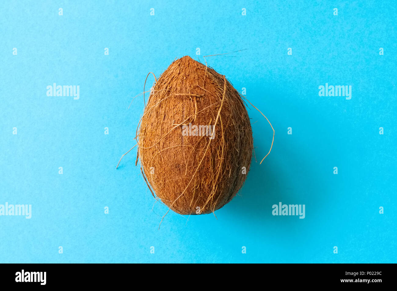 One whole coconuts on a blue background. Top view and copy space. Stock Photo
