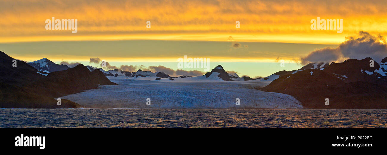 Abendstimmung, Gletscher und schneebeckte Berge, Suedgeorgien | Sunset, glacier and snow covered mountains, South Georgia Island, Sub Antarctica Stock Photo