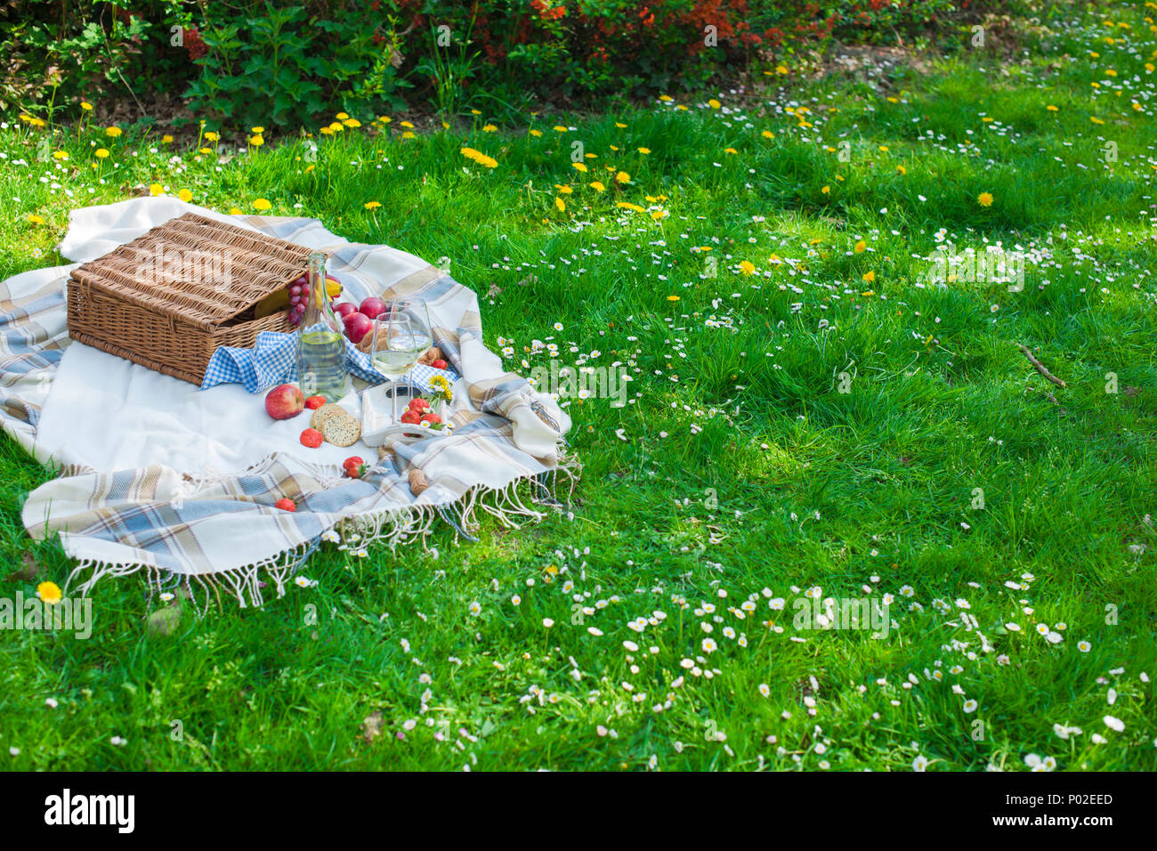 Picnic in the park. A green meadow with flowers, a plaid and a bottle