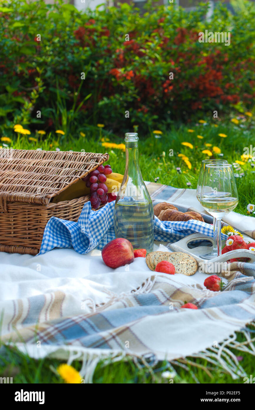 Picnic in the park. A green meadow with flowers, a plaid and a bottle ...