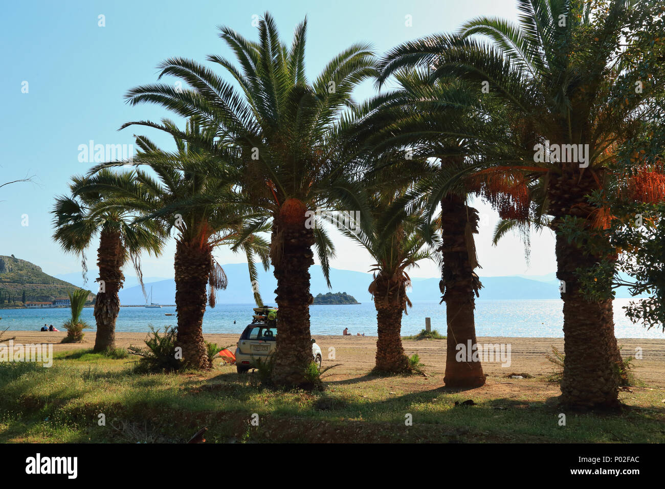 Palm trees on Karathona Beach, Nafplio Stock Photo