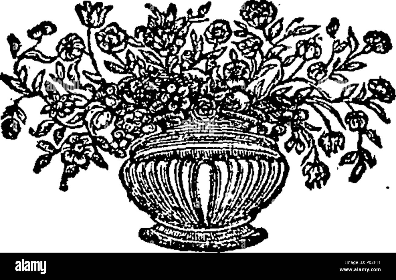 . English: Fleuron from book: A brief illustration and confirmation of the Divine right of infant baptism; in a plain and familiar dialogue between a minister and one of his parishioners. By Jonathan Dickinson, A.M. late Minister of the Gospel at Elizabeth-Town, and president of the College in New-Jersey. [Four lines from Genesis] First published in 1746; and now re-printed, at the desire of some, for the benefit of the rising generation; especially that they may be established in the present truth. Apost. Peter. 28 A brief illustration and confirmation of the Divine right of infant baptism; i Stock Photo