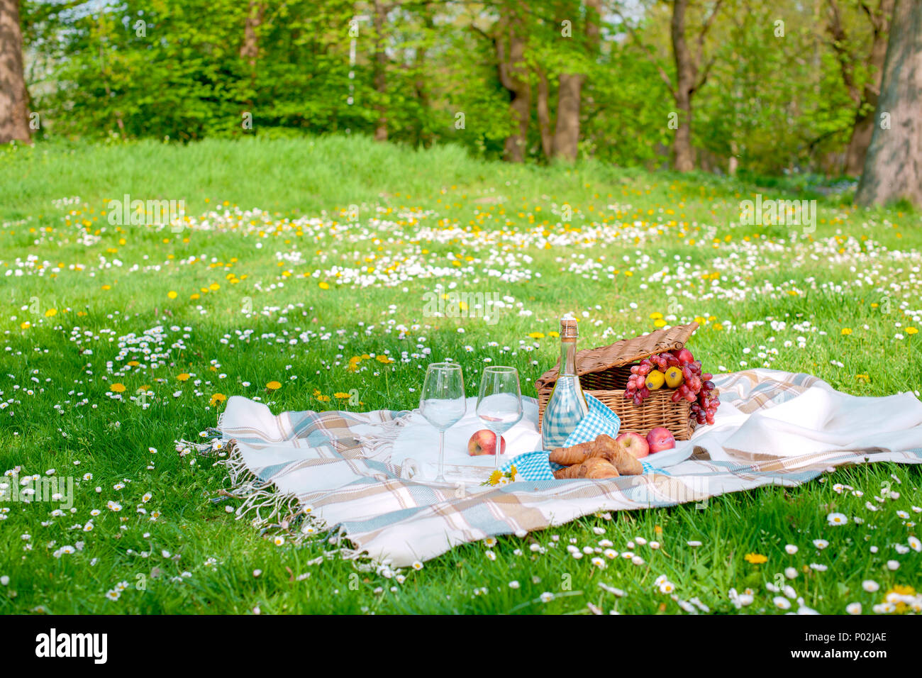 Picnic in the park. A green meadow with flowers, a plaid and a bottle of  wine. Romantic dinner in nature. Free space for text. Spring in the  Netherlands Stock Photo - Alamy