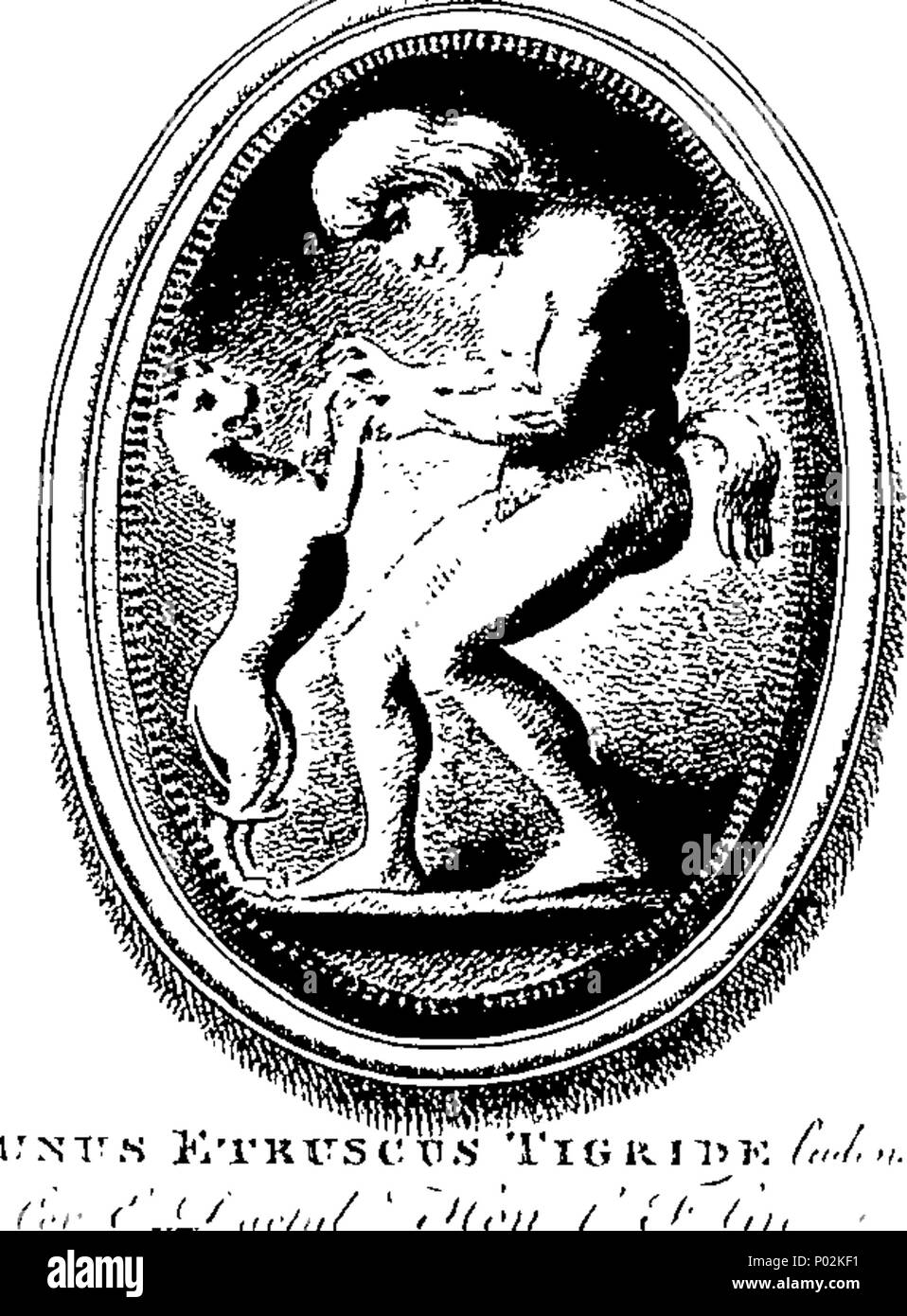 . English: Fleuron from book: A collection of fifty prints from antique gems. In the collections of the Right Honourable Earl Percy, the Honourable C. F. Greville, and T. M. Slade, Esquire. Engraved by Mr. John Spilsbury. 41 A collection of fifty prints from antique gems Fleuron N030560-11 Stock Photo
