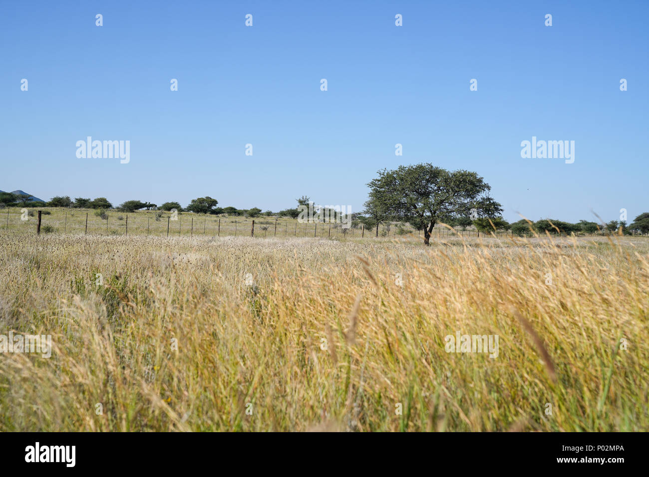 Typically african hi-res stock photography and images - Alamy