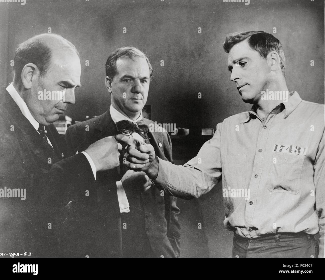 Original Film Title BIRDMAN OF ALCATRAZ. English Title BIRDMAN OF