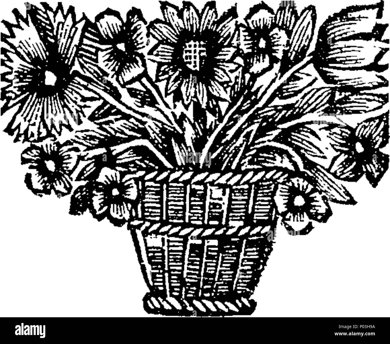 English Plays Stock Photos English Plays Stock Images Alamy - 