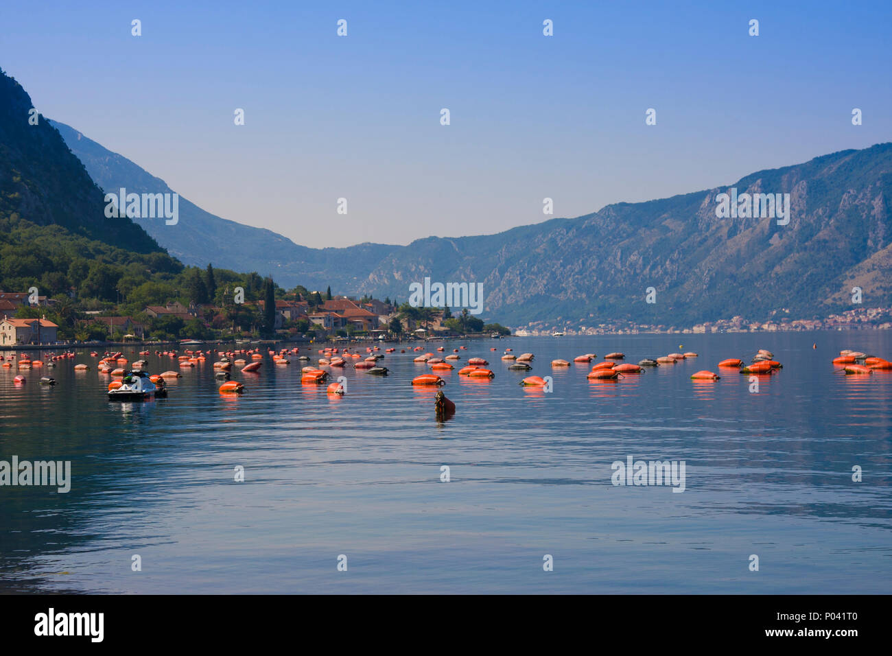 Oyster farms in the Kotor Bay, Montenegro, Kotor-Risan Stock Photo