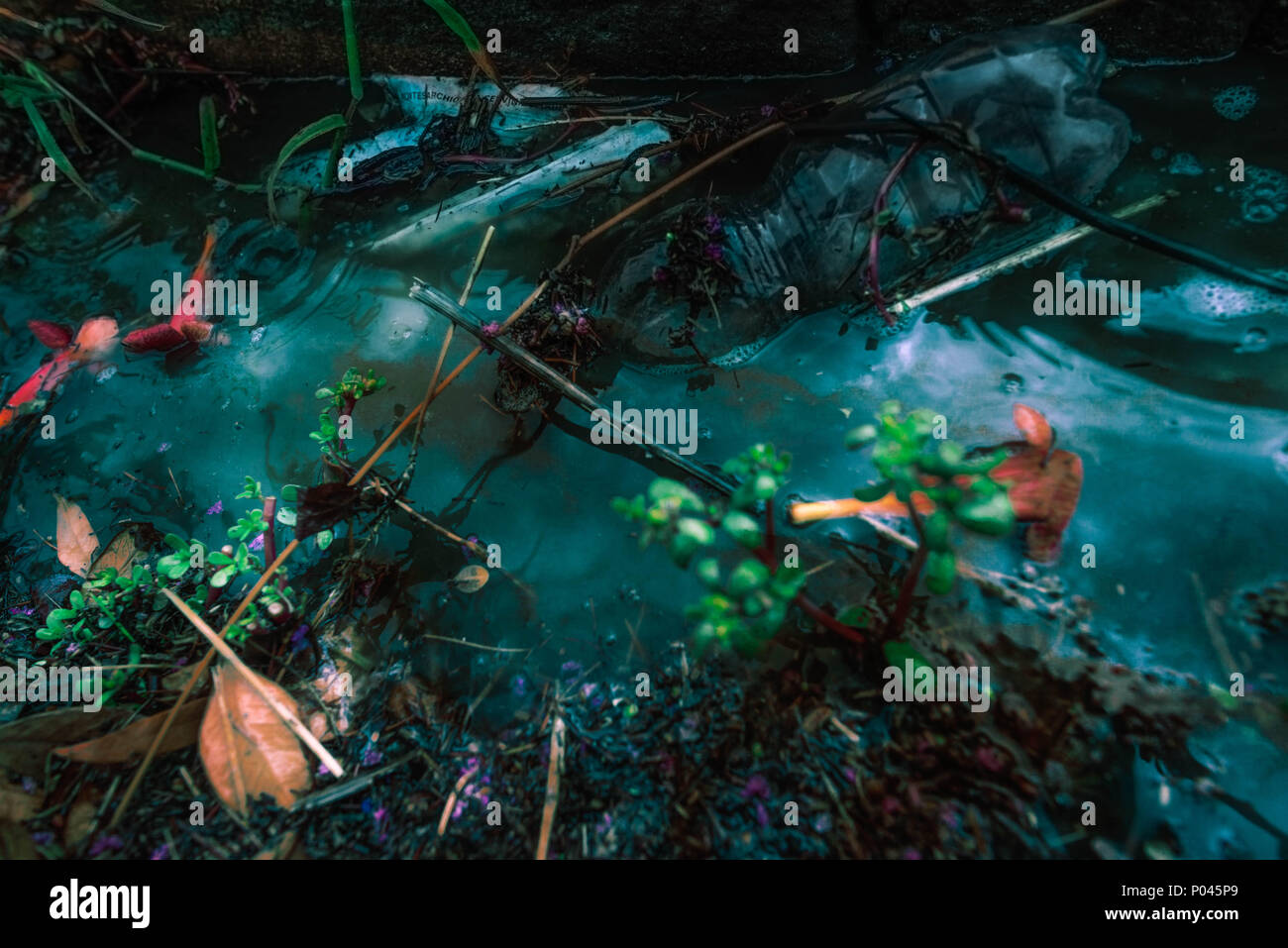reflex on water with trash items on it Stock Photo