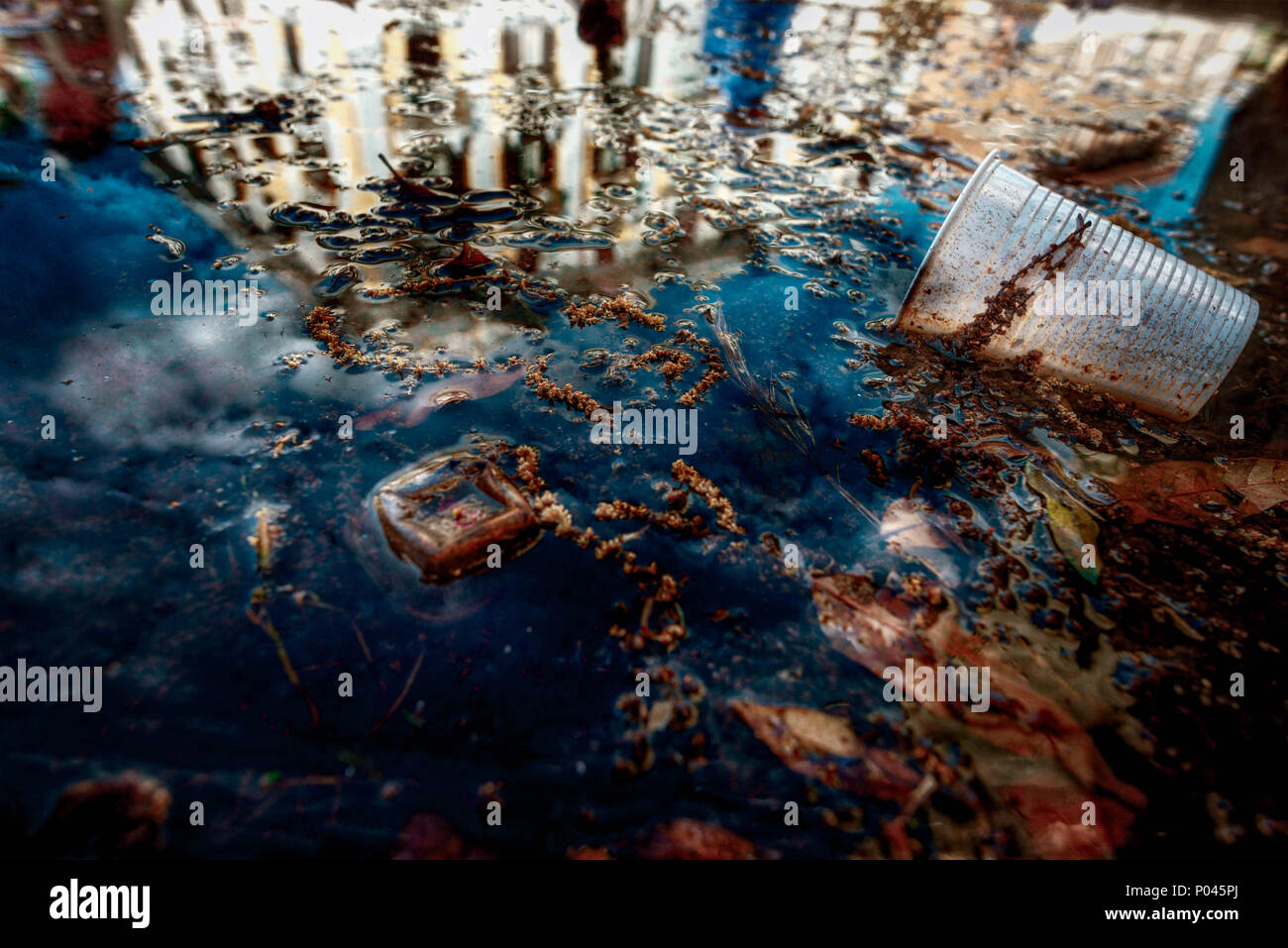 reflex on water with trash items on it Stock Photo