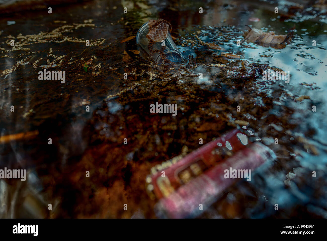 reflex on water with trash items on it Stock Photo