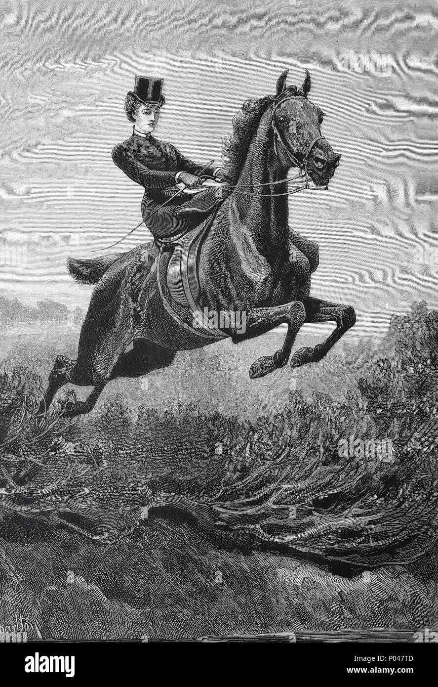19 Ilustrações de Horse Jumping Over - Getty Images