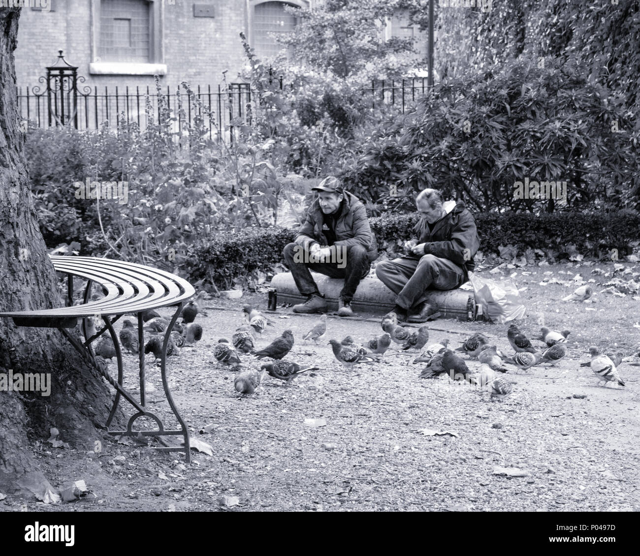 two homeless men feed the pigeons Stock Photo