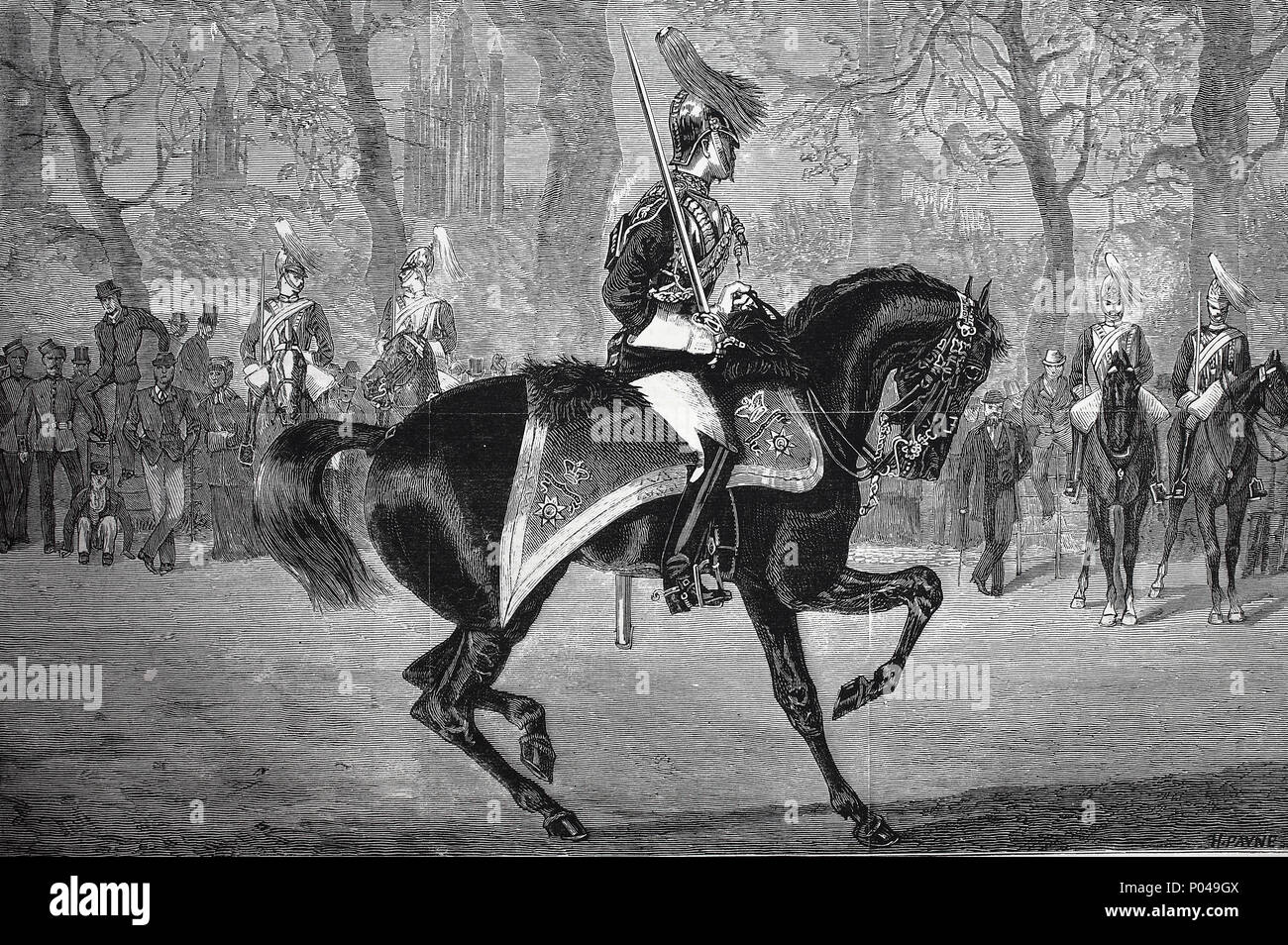 Drawing Room Day Man With A Horse Riding A Sketch In St
