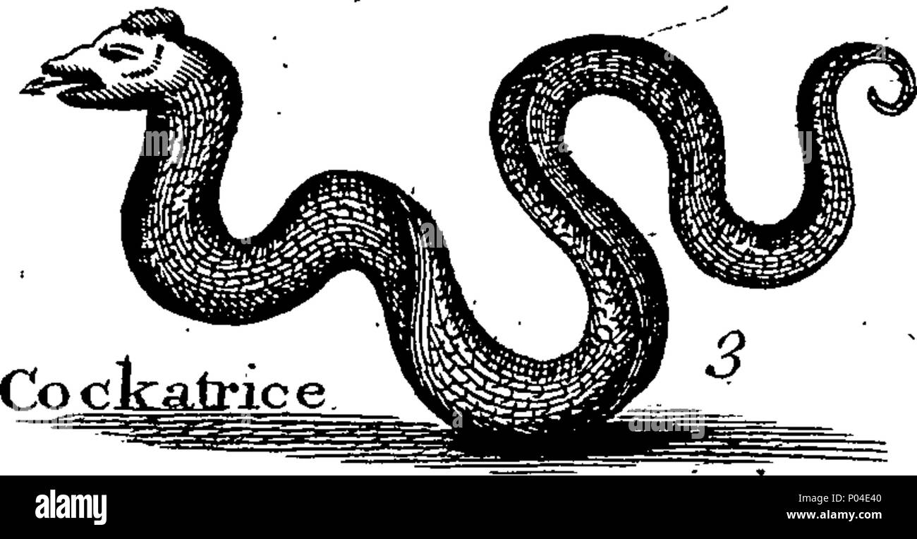 . English: Fleuron from book: A description of three hundred animals, viz. beasts, Birds, Fishes, Serpents, And insects. With a particular account of the manner of their catching whales in Greenland. Extracted from the best authors, and adapted to the use of all capacities. Illustrated with copper-plates, whereon is curiously engraven every Beast, Bird, Fish, Serpent, and Insect, described in the whole Book. 87 A description of three hundred animals, viz Fleuron T118395-47 Stock Photo