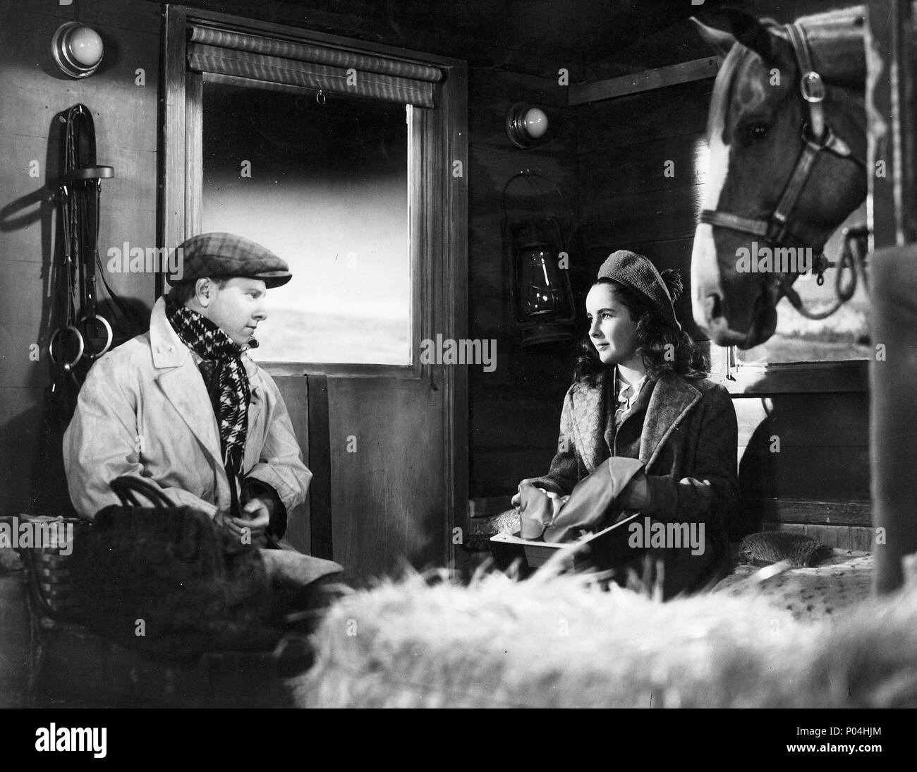 Original Film Title NATIONAL VELVET. English Title NATIONAL VELVET. Film Director CLARENCE