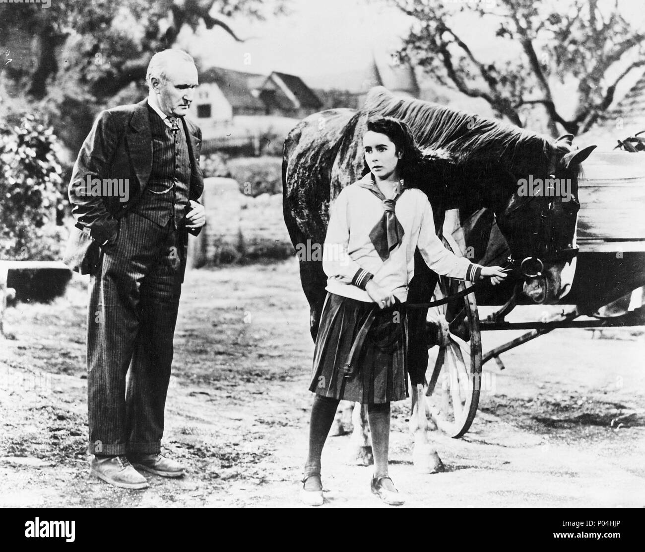 Original Film Title NATIONAL VELVET. English Title NATIONAL VELVET. Film Director CLARENCE