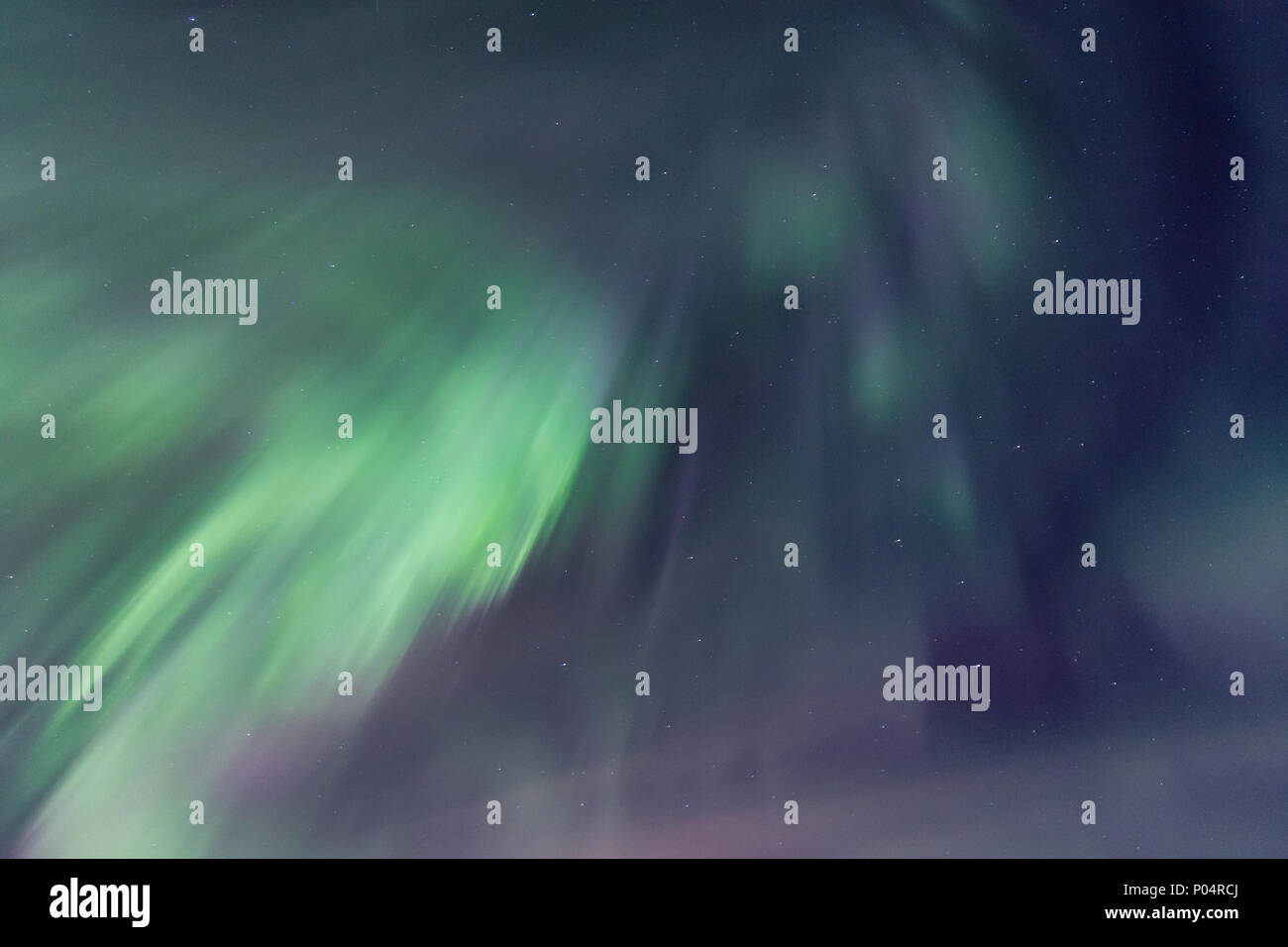Sky brighten by dynamic aurora borealis. Green and purple northern ...