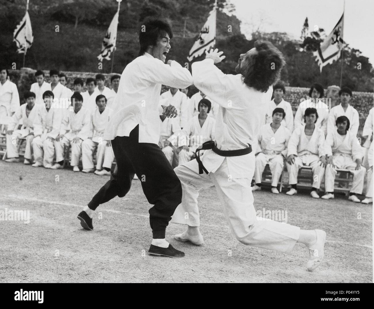 enter the dragon english
