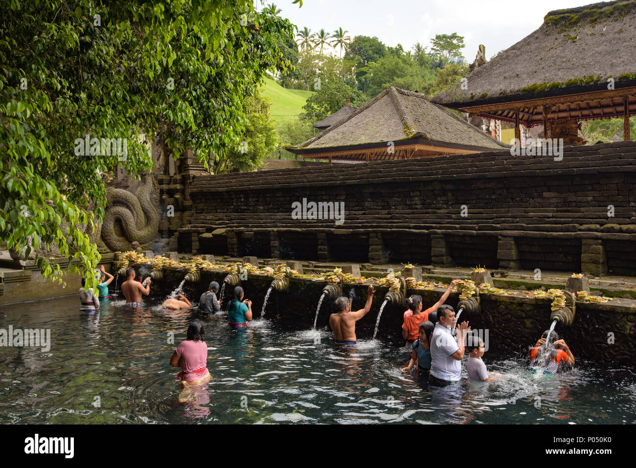 Pilgrims in the holy water pool in Pura Tirta Empul, a Hindu Balinese water temple in Bali, Indonesia Stock Photo