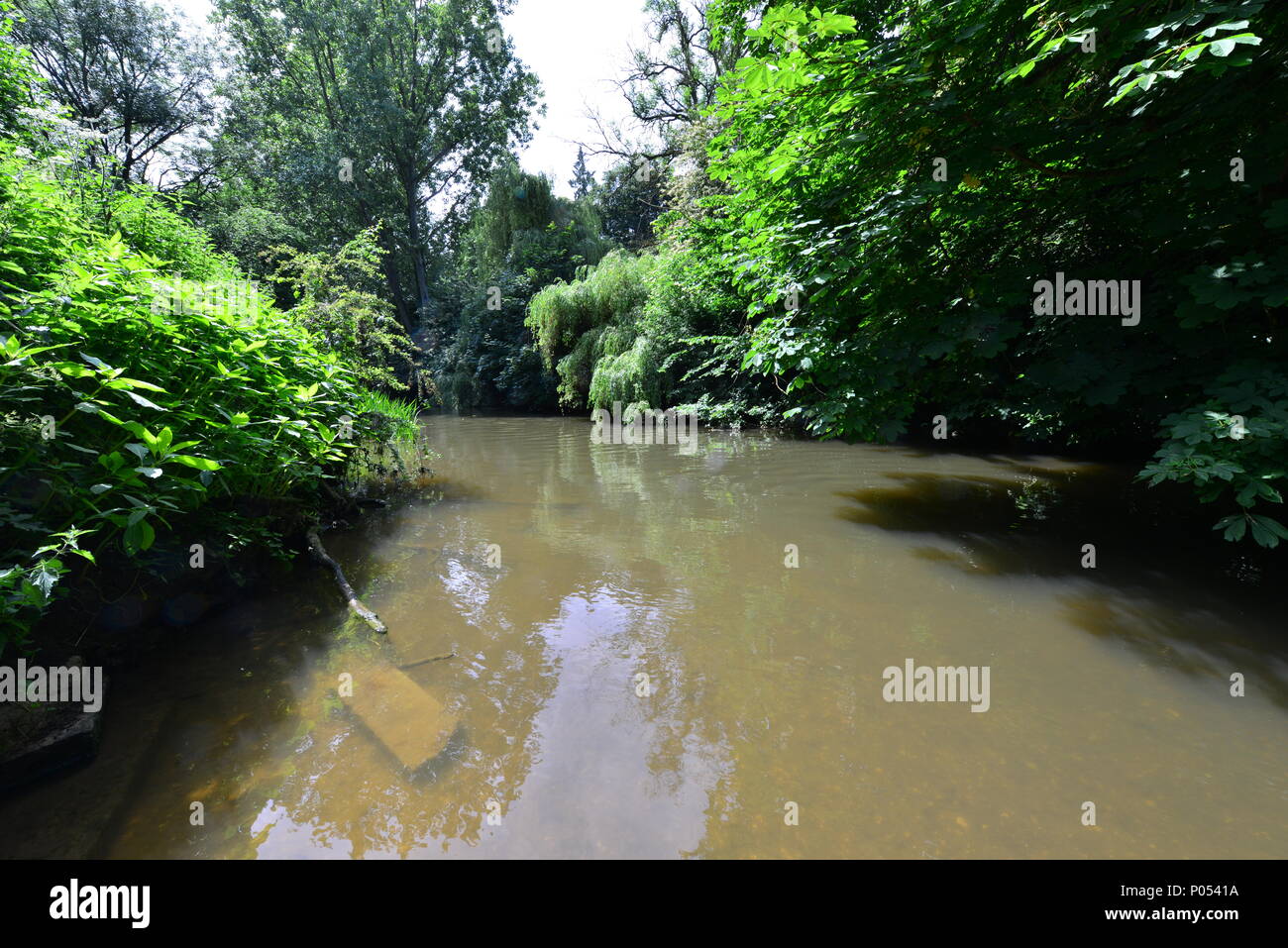 Forest green , dorking hires stock photography and images Alamy