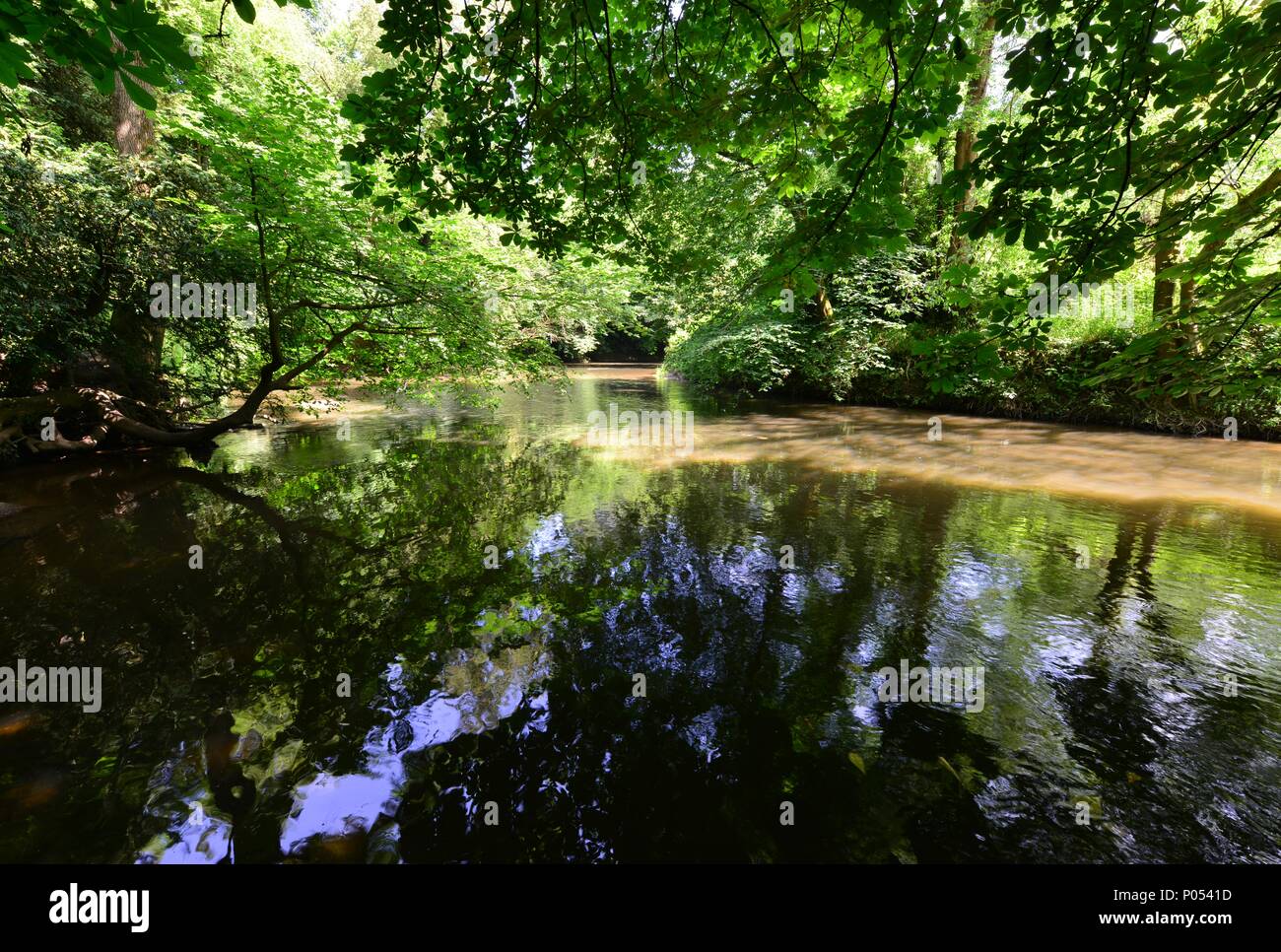 The river mole on a summers day at Dorking in Surrey Stock Photo Alamy