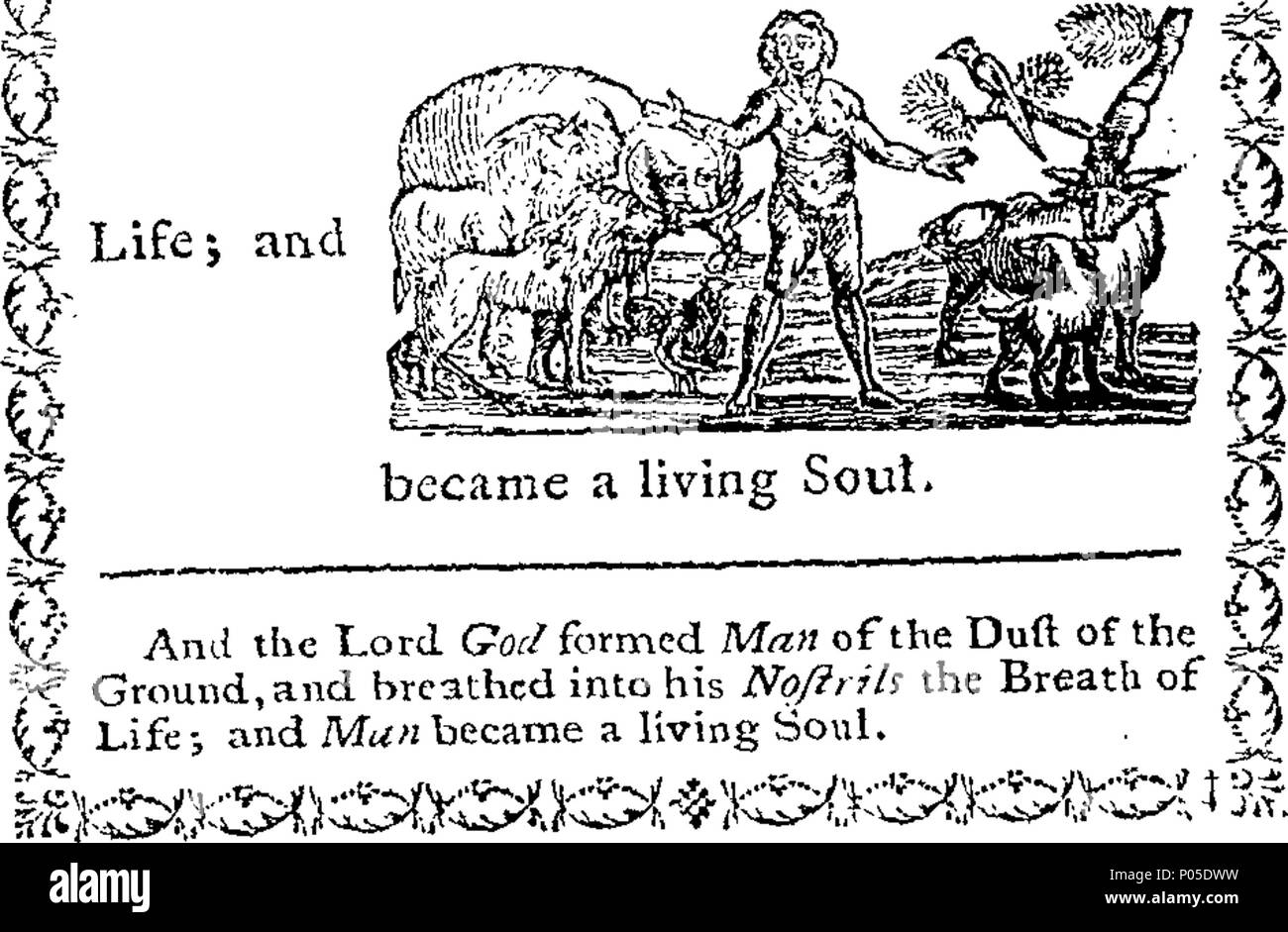 English Fleuron From Book A Curious Hieroglyphick Bible - 