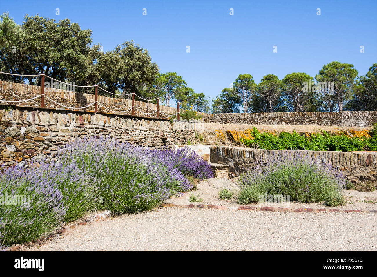 [Страница на сайте] Fort Saint Elme, Collioure along Mediterranean Sea, Languedoc-Roussillon, France Stock Photo