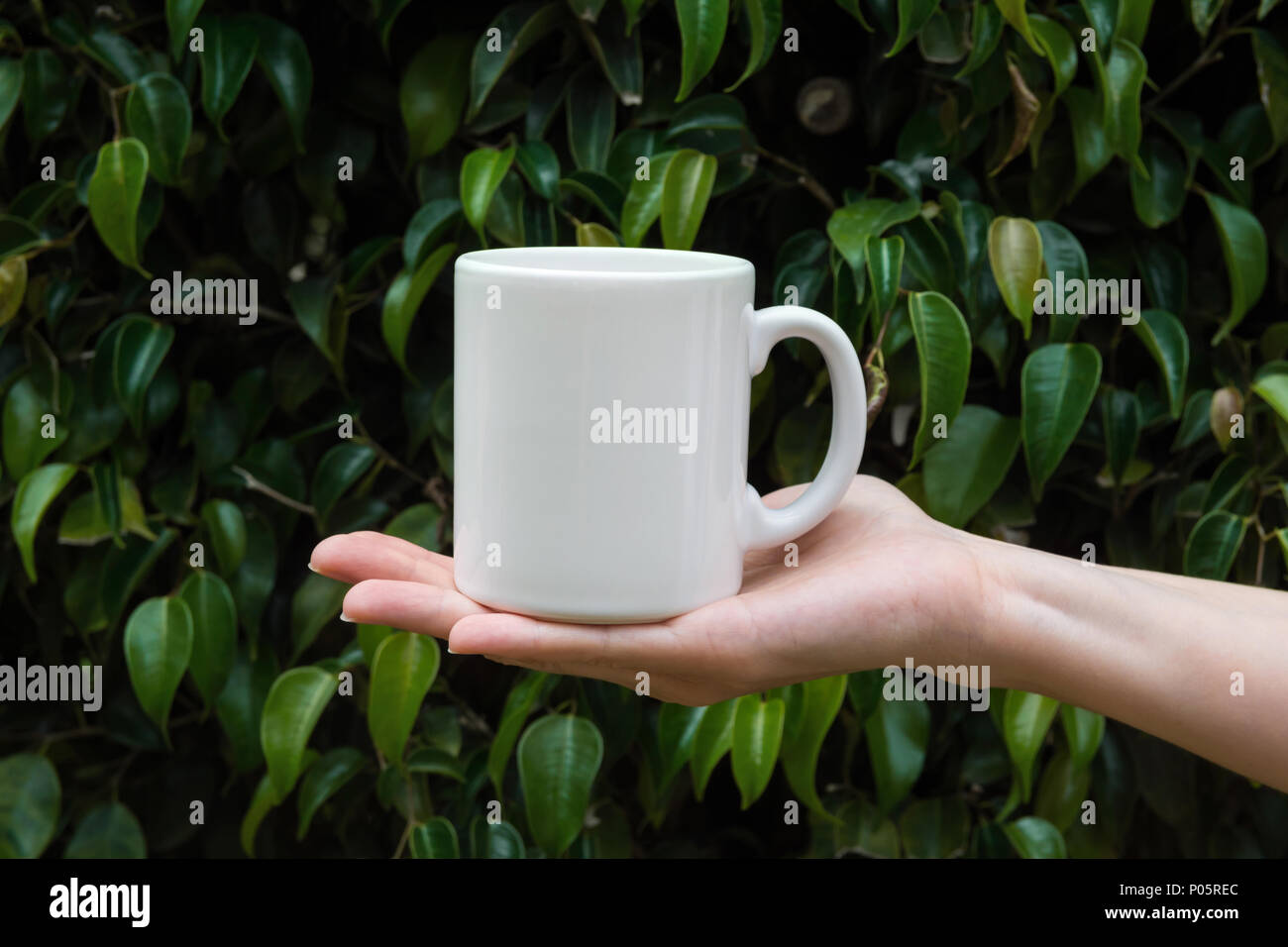 Young Caucasian Woman Holding in Hand White Mockup Mug on Green Tree Foliage Nature Background in Forest. Blank Space for Lettering Artwork Product Br Stock Photo