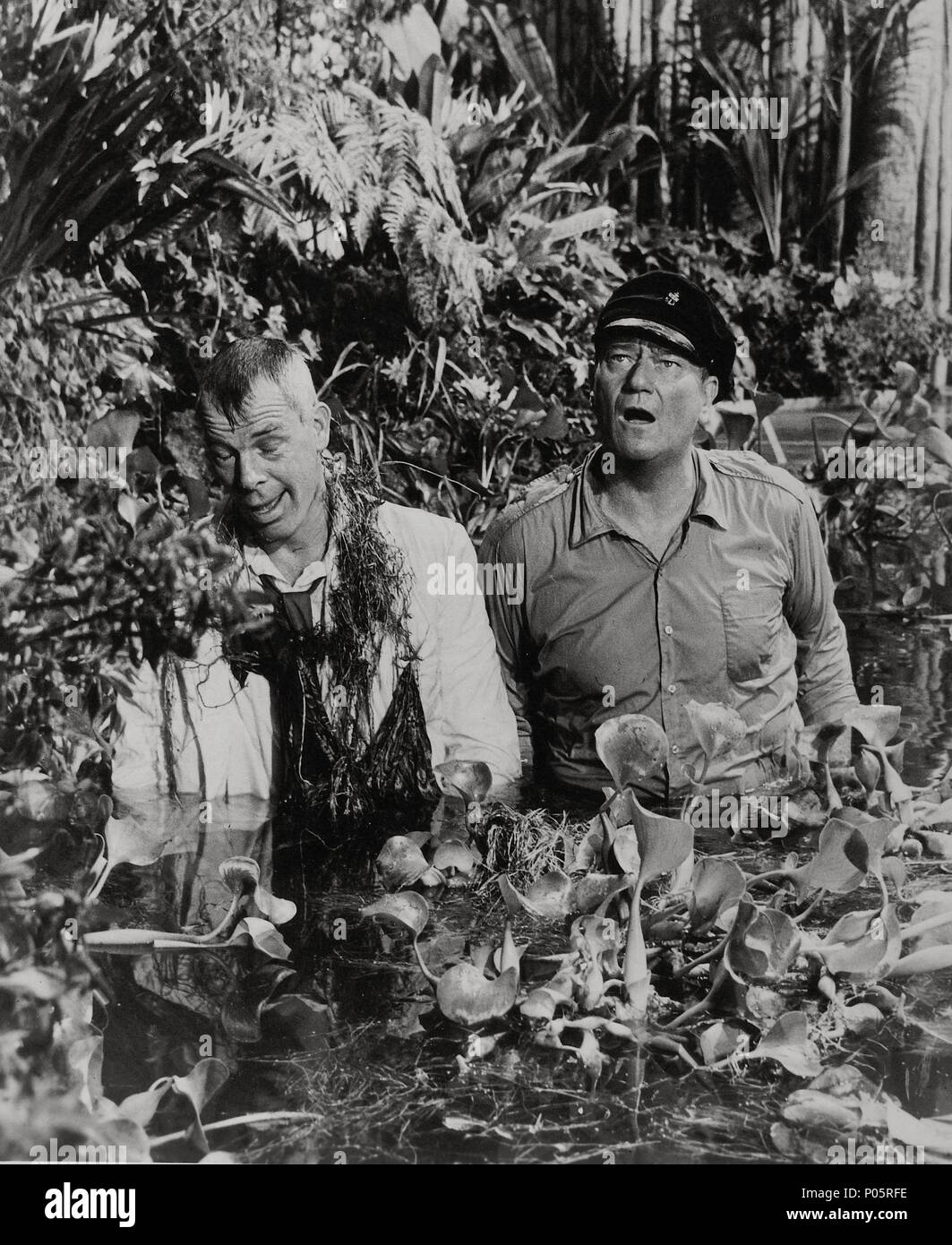 Donovan's reef marvin hires stock photography and images Alamy