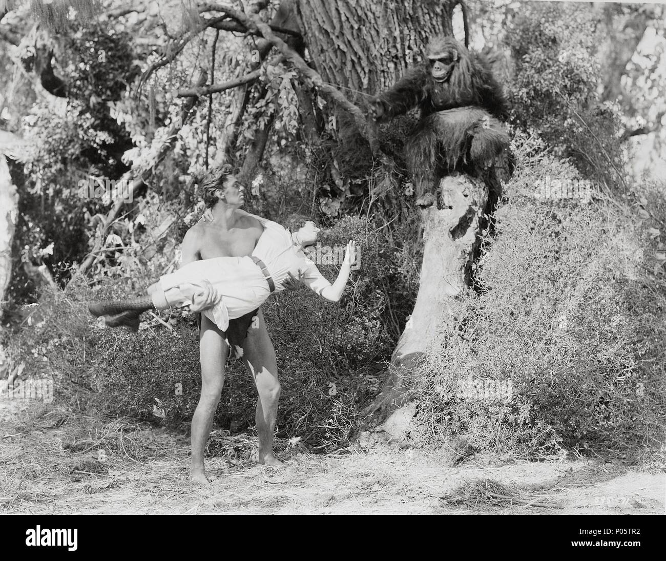 Original Film Title TARZAN, THE APE MAN. English Title TARZAN,