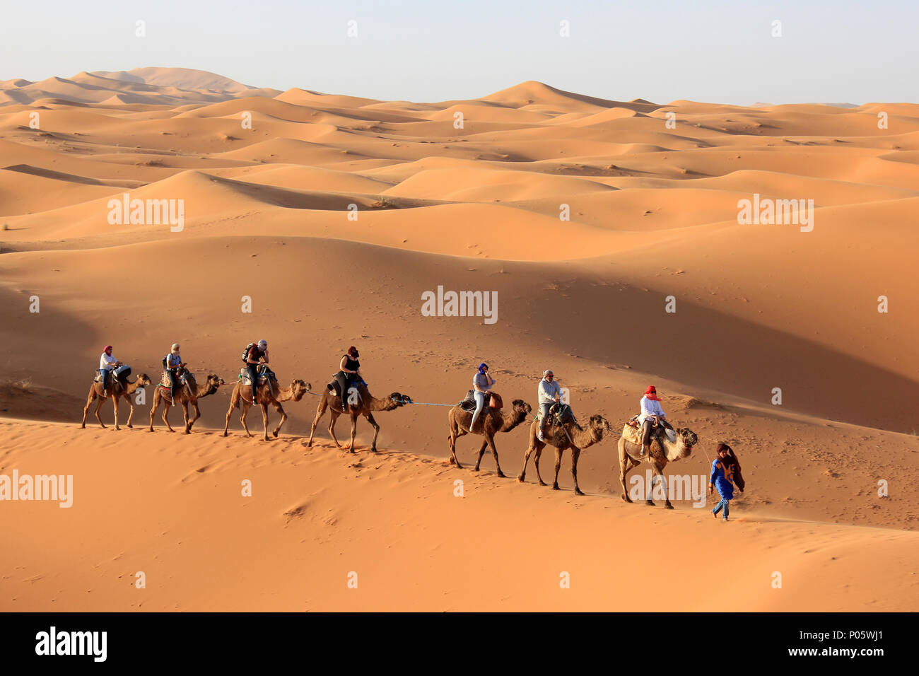 Tourists Enjoying Camel Trek In Erg Chebbi Dunes, Merzouga, Morocco Stock Photo