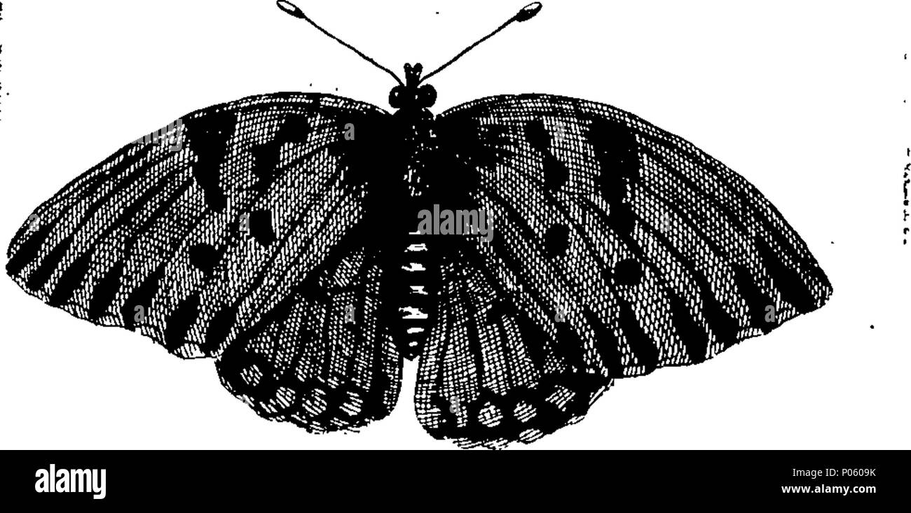 . English: Fleuron from book: A description of a great variety of ...