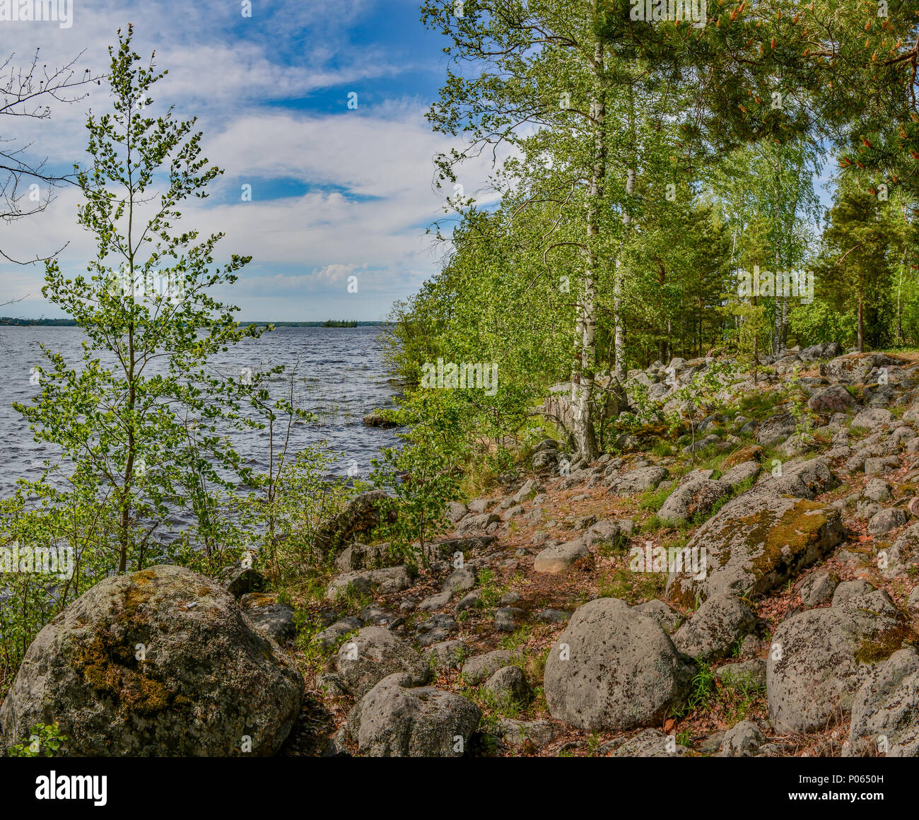 We are going to rest on the Blue Lakes of the Leningrad Region We are going to rest on the Blue Lakes of the Leningrad Region