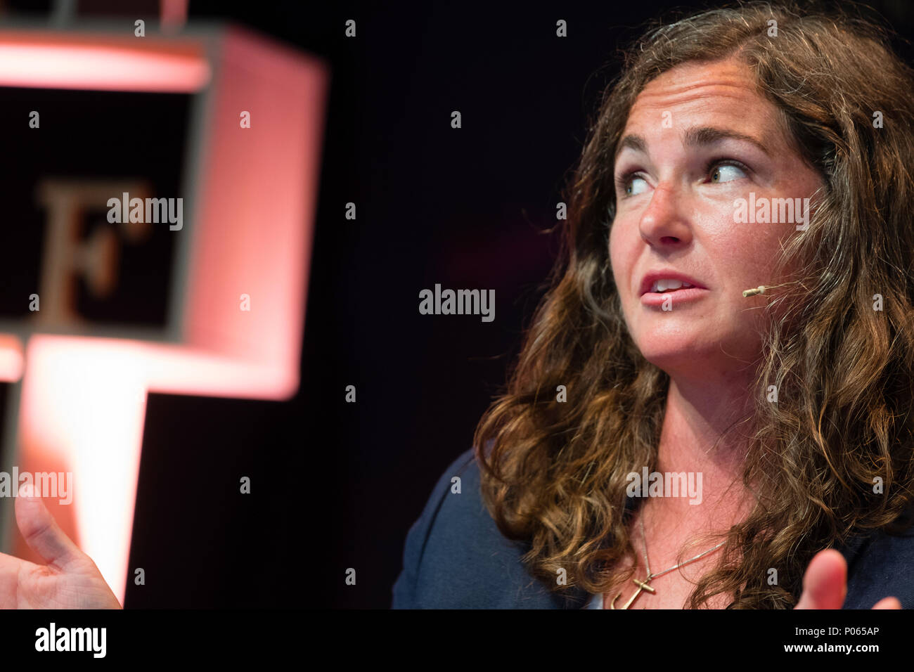 Whitney Brown , American writer, author of 'Between Stone and Sky: Memoirs of a Waller'  - a celebration of the raw and rugged splendour of the Welsh countryside and the enduring beauty and relevance of traditional craftsmanship.   At the Hay Festival  of Literature and the Arts, May 2018 Stock Photo