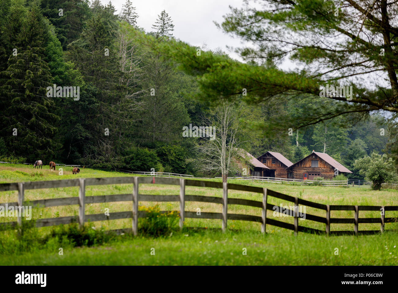 CATSKILLS, NY/USA - JULY 23, 2017: Bucolic summer scene in the Catskill Mountains, complete with horses and rustic farm. Stock Photo