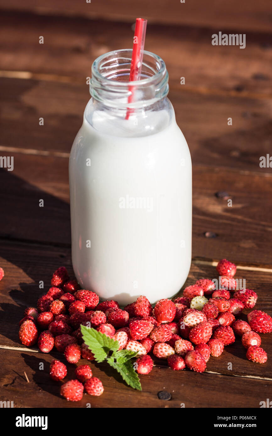 Wild strawberies and mint against bottle of milk outdoor. Focus on berries Stock Photo