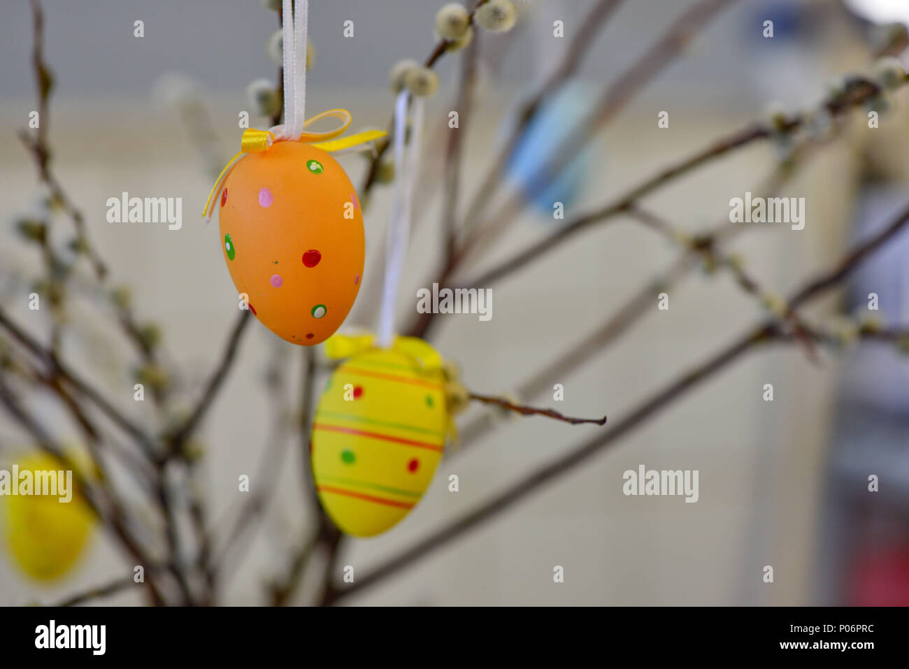 Easter eggs hanging from the willow branches. Easter decorations. Easter holidays. Stock Photo