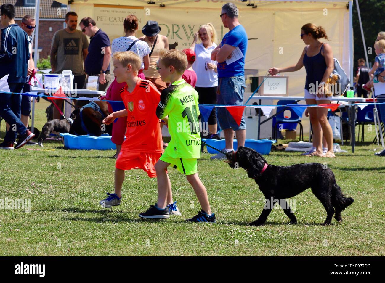 Ipswich, Suffolk, 9 June 2018. UK Weather: Hot bright and sunny for the Kesgrave Family Fun Day and Dog Show. Stock Photo