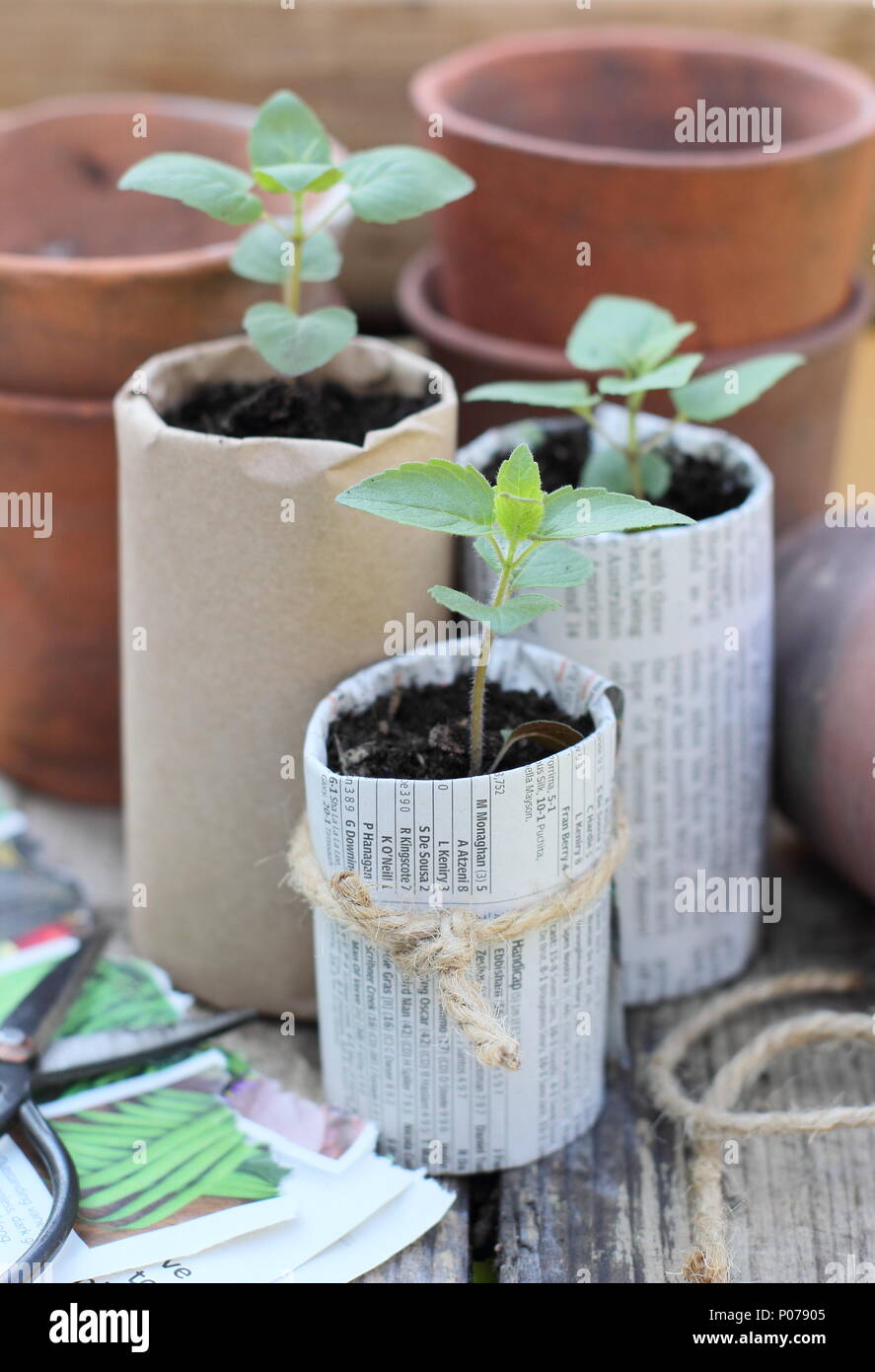 Plastic trays plants hi-res stock photography and images - Alamy