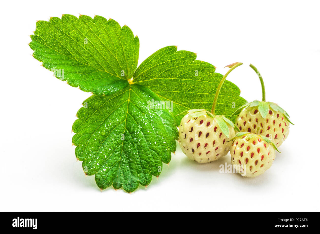 Pineberries (white strawberries) isolated Stock Photo